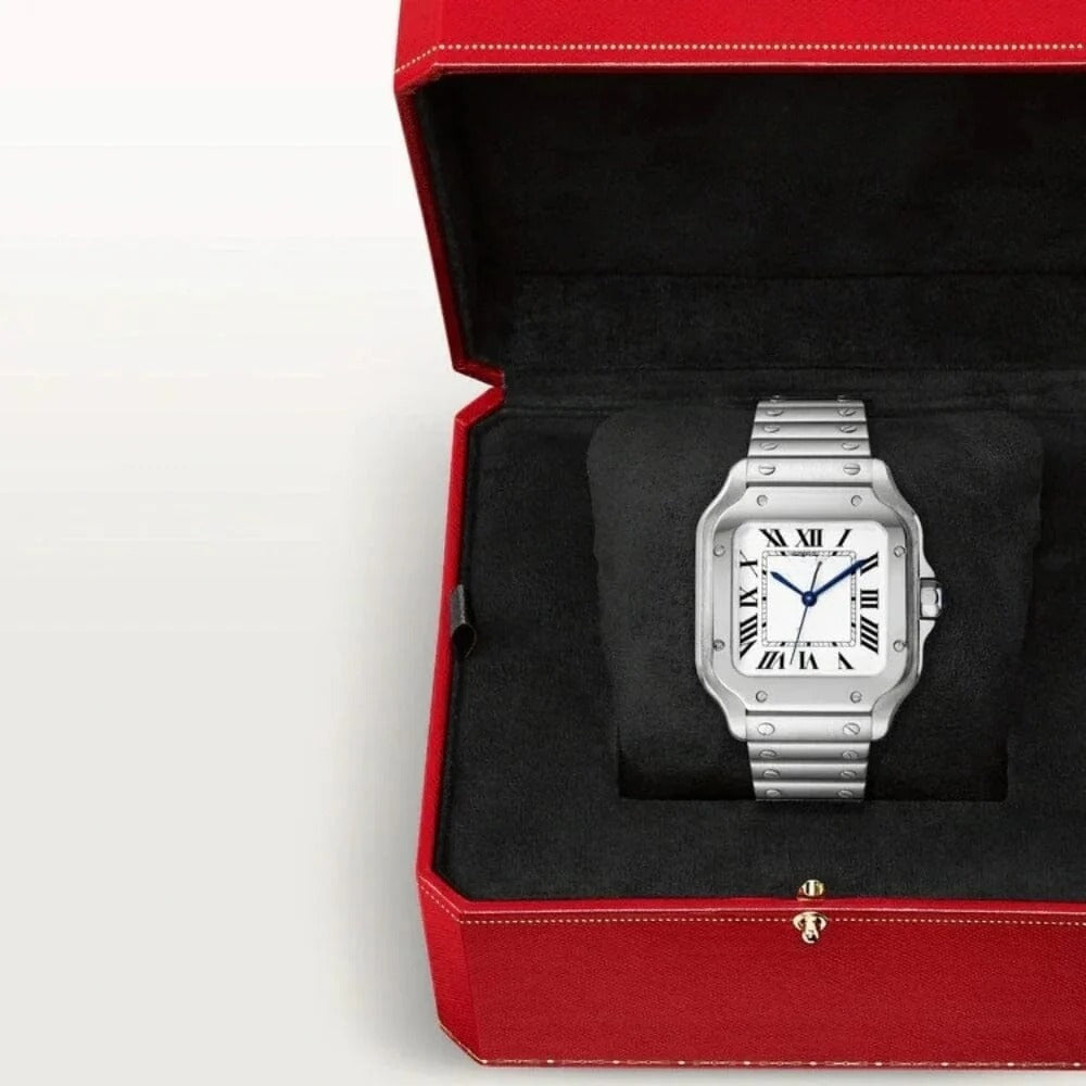 Classic Silver Men's Watch RF3OC395UV8