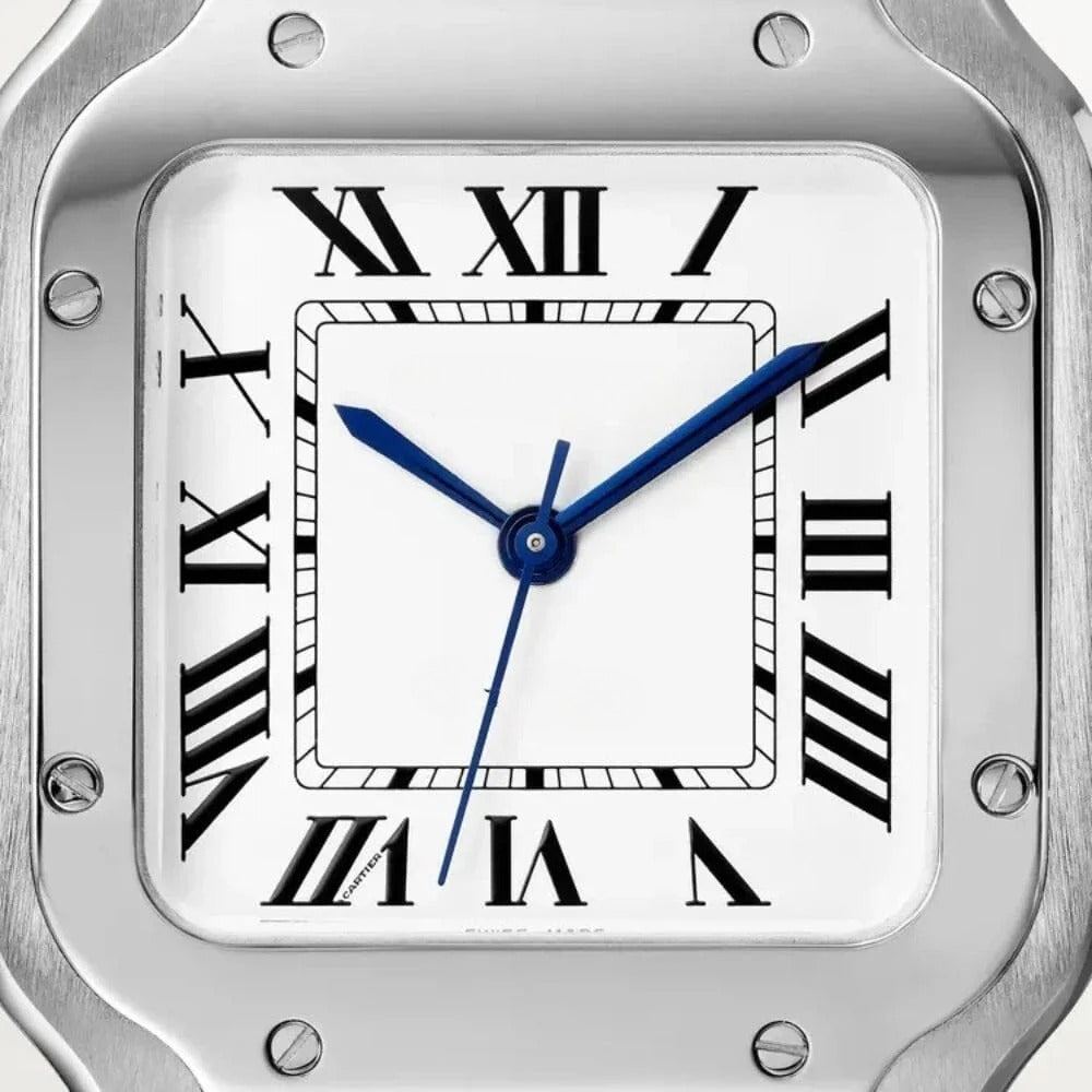 Classic Silver Men's Watch RF3OC395UV8