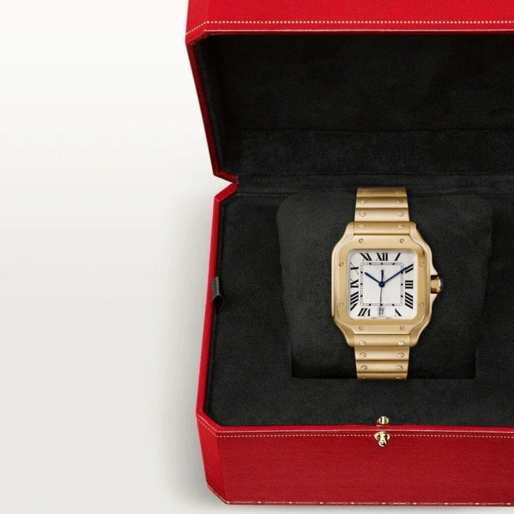 Gold Men's Watch RF3OC3955L0